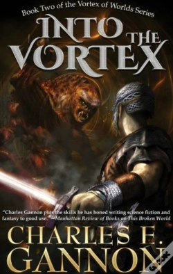 Capa do artigo Into The Vortex