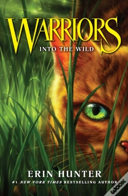 Capa do artigo Into The Wild