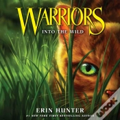 Capa do artigo Into The Wild