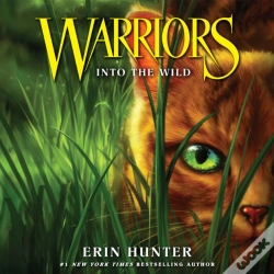 Capa do artigo Into The Wild