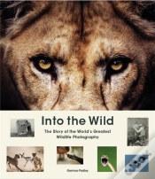 Capa do artigo Into The Wild