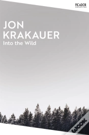 Capa do artigo Into The Wild