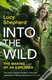 Capa do artigo Into The Wild