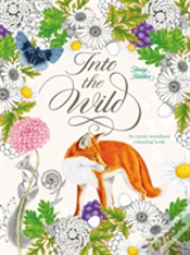 Capa do artigo Into The Wild