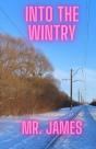 Into The Wintry - Preview