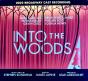 Into The Woods (2022 Broadway Cast Recording) - CD - Preview