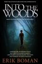 Into The Woods - Preview