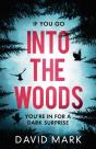 Into The Woods - Preview
