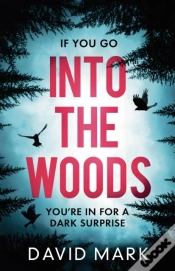 Capa do artigo Into The Woods