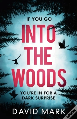 Capa do artigo Into The Woods