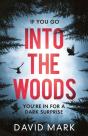Into The Woods - Preview