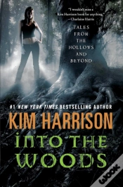 Capa do artigo Into The Woods