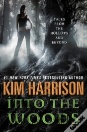 Capa do artigo Into The Woods