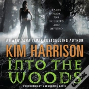 Capa do artigo Into The Woods