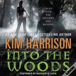 Capa do artigo Into The Woods