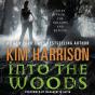 Into The Woods - Preview