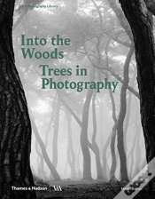 Capa do artigo Into The Woods: Trees In Photography