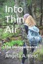 Into Thin Air - Preview