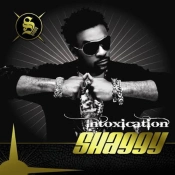 Capa do artigo Intoxication - CD