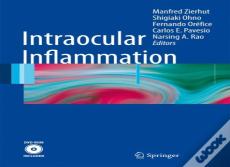 Intraocular Inflammation