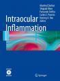Intraocular Inflammation - Preview