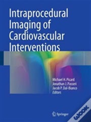 Intraprocedural Imaging Of Cardiovascular Interventions