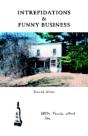 Intrepidations And Funny Business - Preview