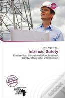 Intrinsic Safety