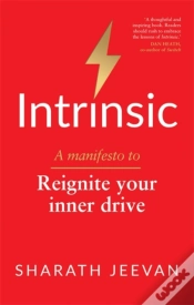 Capa do artigo Intrinsic
