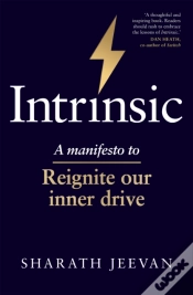 Capa do artigo Intrinsic