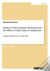 Capa do artigo Intrinsic Versus Extrinsic Motivation And The Effects Of Those Types On Employees