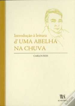 Capa do artigo Introdução à Leitura d Uma Abelha na Chuva