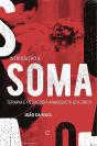 Introdução à Soma - Preview