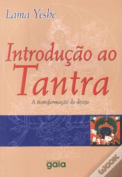 Capa do artigo Introdução ao Tantra