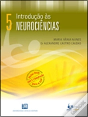 Capa do artigo Introdução às Neurociências
