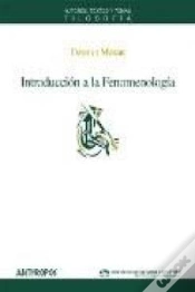 Capa do artigo Introduccion A La Fenomenologia