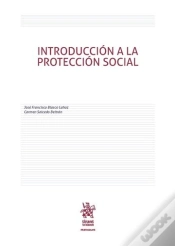 Capa do artigo Introducción A La Protección Social