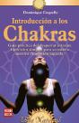 Introducción A Los Chakras - Preview