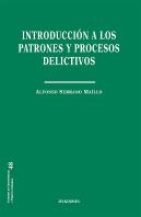 Introduccion A Los Patrones Y Procesos Delictivos