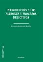 Introduccion A Los Patrones Y Procesos Delictivos - Preview