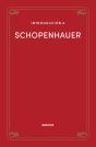 Introduccion A Schopenhauer - Preview