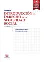 Introducción Al Derecho De La Seguridad Social 9ª Edición 2015 - Preview