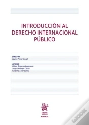 Capa do artigo Introduccion Al Derecho Internacional Publico