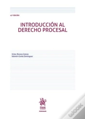 Capa do artigo Introduccion Al Derecho Procesal 13ª Edicion