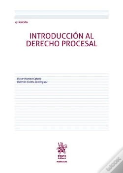 Capa do artigo Introduccion Al Derecho Procesal 13ª Edicion