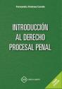 Introduccion Al Derecho Procesal Penal - Preview