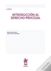 Capa do artigo Introduccion Al Derecho Procesal