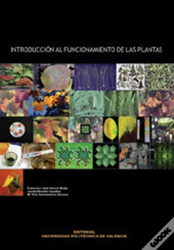 Capa do artigo Introducción Al Funcionamiento De Las Plantas