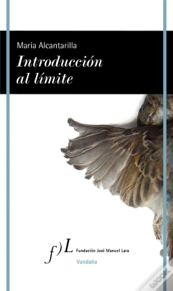 Capa do artigo Introducción Al Límite