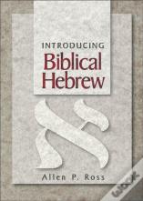 Introducing Biblical Hebrew